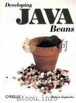 DEVELOPING JAVA BEANS（1997 PDF版）