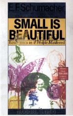SMALLIS BEAUTIVUL:ECONOMICS AS IF PEOPLE MATTERED 1989 PDF电子版封面 0060916303 E.F.SCHUMACHER
