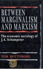 BETWEEN MARGINALISM AND MARXISM（1992 PDF版）