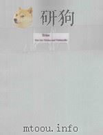 Trios（1978 PDF版）