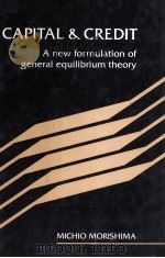 CAPITAL AND CREDIT ANEW FORMULATION OF GENERAL EQUILIBRIUM THEORY 1992 PDF电子版封面 0521418402