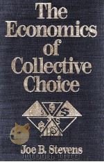 THE ECONOMICS OF COLLECTIVE CHOICE（1992 PDF版）