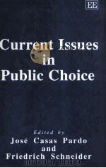 CURRENT ISSUES IN PUBLIC CHOICE 1995 PDF电子版封面 1858981344