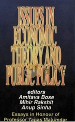 ISSUES IN ECONOMIC THEORY AND PUBLIC POLICY ESSAYS IN HONOUR OF PROFESSOR TAPAS MAJUMDAR 1997 PDF电子版封面 0195639499