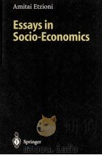 ESSAYS IN SOCIO-ECONOMICS 1999 PDF电子版封面 3540644660