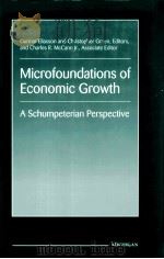 MICROFOUNDATIONS OF ECONOMIC GROWTH:A SCHUMPETERIAN PERSPECTIVE 1998 PDF电子版封面 0472109049