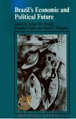 BRAZIL'S ECONOMIC AND POLIITICAL FUTURE 1985 PDF电子版封面 0813302684