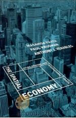 THE SPATIAL ECONOMY CITIES REGIONS AND INTERNATIONAL TRADE 1999 PDF电子版封面 0262062046