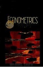 THE NEW PALGRAVE ECONOMETRICS 1990 PDF电子版封面 0333495438