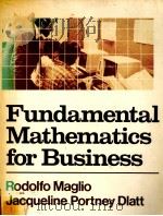 FUNDAMENTAL MATHEMATICS FOR BUSINESS 1984 PDF电子版封面 0023748206