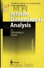INFINITE DIMENSIONAL ANALYSIS A HITCHHIKER'S GUIDE SECOND COMPLETELY REVISED AND ENLARGED EDITI 1999 PDF电子版封面 3540658548
