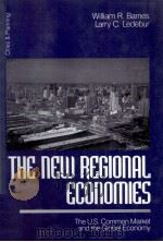 THE NEW REGLONAL ECONOMIES 1997 PDF电子版封面 0761909397