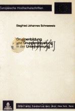 GRUPPENBILDUNG UND GRUPPENSTEUERUNG IN DER UNTERNEHMUNG 1988 PDF电子版封面 3820400222