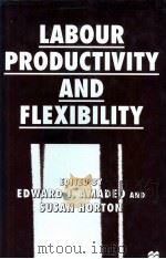LABOUR PRODUCTIVITY AND FLEXIBILITY 1997 PDF电子版封面 0333643992
