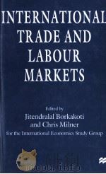 INTERNATIONAL TRADE AND LABOUR MARKETS 1997 PDF电子版封面 0333710886