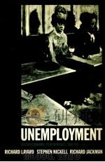 UNEMPLOYMENT 1991 PDF电子版封面 0198284349