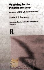WORKING IN THE MACROECONOMY（1997 PDF版）