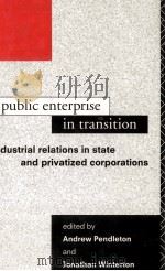 PUBLIC ENTERPRISE IN TRANSITION（1993 PDF版）