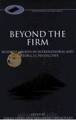 BEYOND THE FIRM（1997 PDF版）