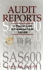 AUDIT REPORTS 1994 PDF电子版封面 0749408294