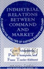INDUSTRIAL RELATIONS BETWEEN COMMAND AND MARKET 1997 PDF电子版封面 156072403X