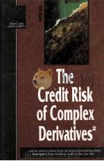 THE GREDIT RISK OF COMPLEX DERIVATIVES:SECOND EDITION 1993 PDF电子版封面 0333694627 ERIK BANKS