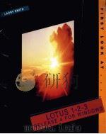 FIRST LOOK AT LOTUS 1 2 3 RELEASE 4 FOR WINDOWS（1994 PDF版）