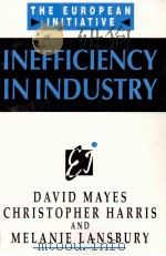 INEFFICIENCY IN INDUTRY 1985 PDF电子版封面 0471891762