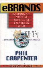EBRANDS BUILDING A NINTERNET BUSINESS AT BREAKNECK SPEEO 1999 PDF电子版封面 0875849296