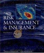 RISK MANAGEMENT INSURANCE 9TH EDITION（1994 PDF版）