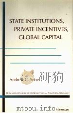 STAT INSTITUTIONS PRIVATE INCENTIVES GLOBAL CAPITAL 1999 PDF电子版封面 0472110055