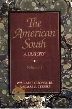 THE AMERICAN SOUTH A HISTORY 1991 PDF电子版封面 9780070637412