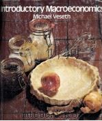 INTRODUCTORY MACROECONOMICS MICHAEL VESETH 1981 PDF电子版封面 0127195521