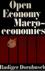 OPEN ECONOMY MACROECONOMICS（1980 PDF版）