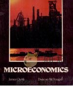 MACROECONONICS 1981 PDF电子版封面 057419410X