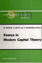 ESSAYS IN MODERN CAPITAL THEORY 1976 PDF电子版封面 0720431999 PAUL ZAREMBKA