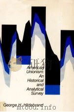 AMERICAN UNIONISM AN HISTORI AND ANALYICAL SURVEY PDF电子版封面 020108368X GEORGE H.HILDEBRAND
