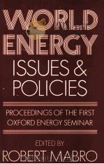 WORLD ENERGY ISSUES AND POLICIES（1980 PDF版）