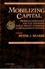 MOBILIZING CAPITAL   1982  PDF电子版封面  0444006907  PETER J.BEARSE 