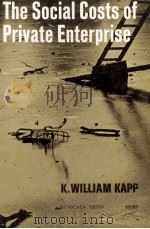 THE SOCIAL COSTS OF PRIVATE ENTERPRISE 1950 PDF电子版封面 0805202994 K.WILLIAM KAPP
