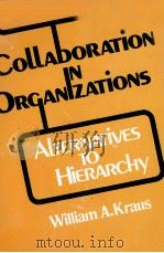 COLLABORZATION IN ORGANIZATIONS ALTERNATIVES TO HIERARCHY（1980 PDF版）