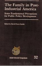 THE FAMILY IN POST-INDUSTRIAL AMERICA SOME FUNDAMENTAL PERCAEPTIONS FOR PUBLIC POLICY DEVELOPMENT（1979 PDF版）