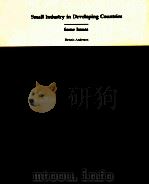 SMALL INDUSTRY IN DEVELOPING COUNTRUES SOME ISSUES（1982 PDF版）