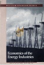 ECONOMICS OF THE ENERGY INDUSTRIES（1985 PDF版）