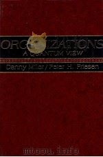 ORGANIZATIONA A QUANTUM VIEW（1984 PDF版）