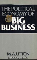 THE POLITICAL ECONOMY OF BIG BUSINESS 1982 PDF电子版封面 0855204095 M.A.UTTON