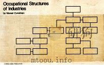 OCCUPATIONAL STRUTURES 1980 PDF电子版封面 0821301268
