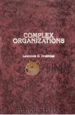 COMPLEX ORGANIZATIONS 1978 PDF电子版封面 0829901698