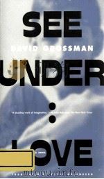 SEE UNDER: LOVE 1989 PDF电子版封面 0374525196