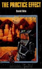 THE PRACTICE EFFECT（1984 PDF版）